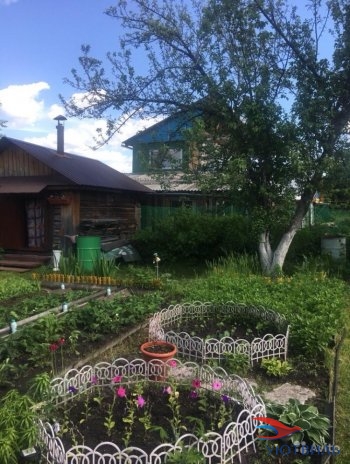 Сад Дружба, Челябинский тракт 4 км в Кушве - kushva.yutvil.ru - фото 2