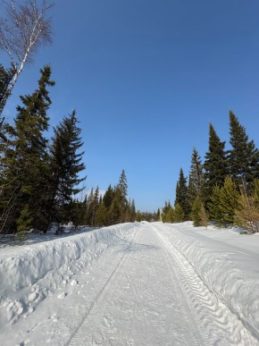 ДП Родной в Кушве - kushva.yutvil.ru - фото 7