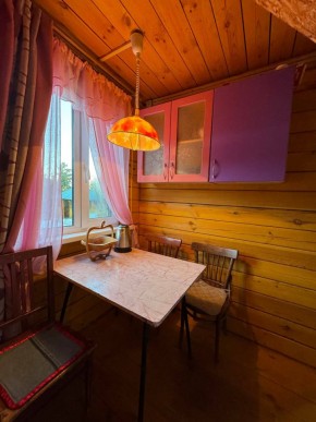 Екатеренбург сад Торгмаш, СНТ  Садовод, уч. 52 в Кушве - kushva.yutvil.ru - фото 4
