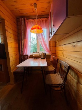 Екатеренбург сад Торгмаш, СНТ  Садовод, уч. 52 в Кушве - kushva.yutvil.ru - фото 5