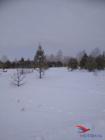 Земельный участок поселок Баженово в Кушве - kushva.yutvil.ru - фото 5