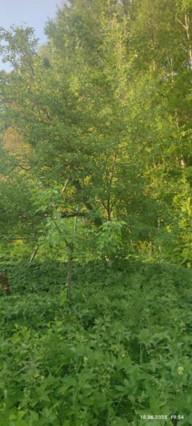 г Верхняя пышма, СНТ Мираж, уч.№ 99 в Кушве - kushva.yutvil.ru - фото 10