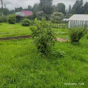 г Верхняя пышма, СНТ Мираж, уч.№ 99 в Кушве - kushva.yutvil.ru - фото 11