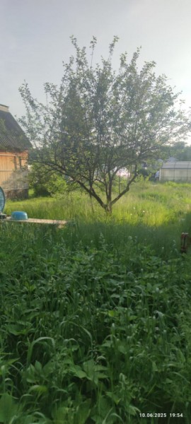 г Верхняя пышма, СНТ Мираж, уч.№ 99 в Кушве - kushva.yutvil.ru - фото 19