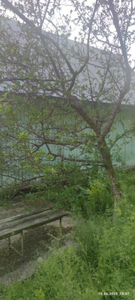 г Верхняя пышма, СНТ Мираж, уч.№ 99 в Кушве - kushva.yutvil.ru - фото 26