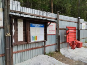 г.Верхняя Пышма СНТ №5 Березки в кв. 22 Среднеуральского Уралмашевского лесхоза в Кушве - kushva.yutvil.ru - фото 18