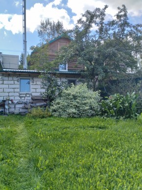 Коллективный сад номер 7, участок 58 в Кушве - kushva.yutvil.ru - фото 21