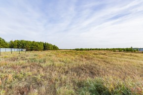 Российская Федерация, Свердловская область, Сысертский городской округ, территория садоводческого некоммерческого товарищества Бобровские дачи, улица Каштановая, земельный участок № 38 в Кушве - kushva.yutvil.ru - фото 16