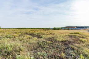 Российская Федерация, Свердловская область, Сысертский городской округ, территория садоводческого некоммерческого товарищества Бобровские дачи, улица Каштановая, земельный участок № 38 в Кушве - kushva.yutvil.ru - фото 24