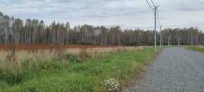 с. Новоалексеевское, КП Оникс,  в Кушве - kushva.yutvil.ru - фото 2
