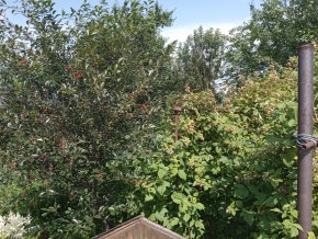 СНТ Медик-2 в Кушве - kushva.yutvil.ru - фото 3