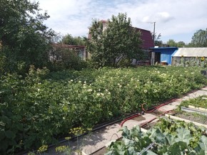 СНТ Медик-2 в Кушве - kushva.yutvil.ru - фото 6