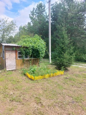 СНТ Родники в Кушве - kushva.yutvil.ru - фото 2 СНТ Родники в Кушве - kushva.yutvil.ru - фото 2