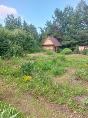 СНТ Родники в Кушве - kushva.yutvil.ru - фото 3 СНТ Родники в Кушве - kushva.yutvil.ru - фото 3