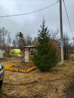 СНТ Родники в Кушве - kushva.yutvil.ru - фото 5 СНТ Родники в Кушве - kushva.yutvil.ru - фото 5