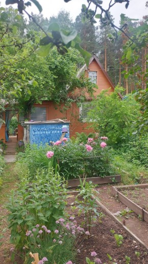 СНТ Садовод-24 в Кушве - kushva.yutvil.ru
