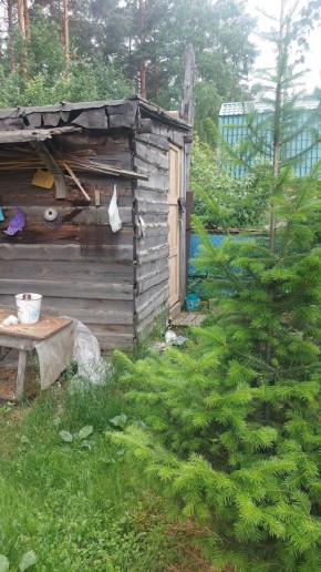 СНТ Садовод-24 в Кушве - kushva.yutvil.ru - фото 13
