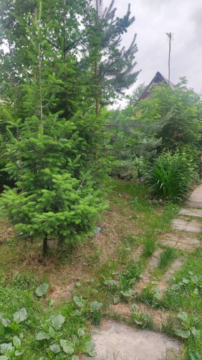 СНТ Садовод-24 в Кушве - kushva.yutvil.ru - фото 15