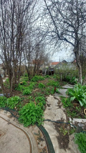 СНТ Сирень, уч. 38 в Кушве - kushva.yutvil.ru - фото 7