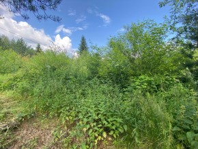 СПК Юбилейный, уч. 9 в Кушве - kushva.yutvil.ru - фото 7