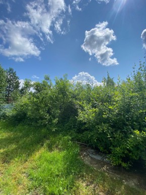 СПК Юбилейный, уч. 9 в Кушве - kushva.yutvil.ru - фото 8