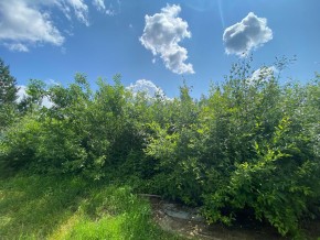 СПК Юбилейный, уч. 9 в Кушве - kushva.yutvil.ru - фото 9