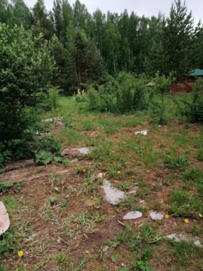 СТН Семья №112, Верхняя пышма на землях бывшего подсобного хозяйтва верхнепышминского опытного завода в Кушве - kushva.yutvil.ru - фото 17