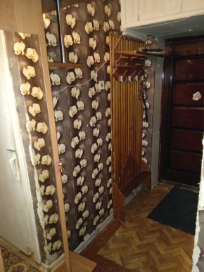 ул. Бажова,11 в Кушве - kushva.yutvil.ru - фото 9