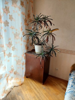 ул. Индустрии,29 в Кушве - kushva.yutvil.ru - фото 4