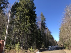 ул. Калиновая,9 в Кушве - kushva.yutvil.ru - фото 4 ул. Калиновая,9 в Кушве - kushva.yutvil.ru - фото 4