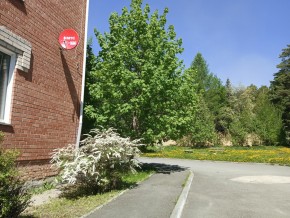 ул. Сосновая, 8 в Кушве - kushva.yutvil.ru - фото 25
