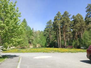 ул. Сосновая, 8 в Кушве - kushva.yutvil.ru - фото 26