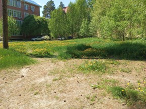 ул. Сосновая, 8 в Кушве - kushva.yutvil.ru - фото 33
