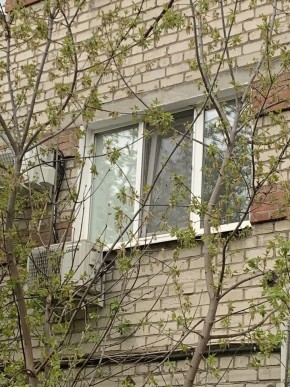 ул. Таганская,8 в Кушве - kushva.yutvil.ru - фото 14