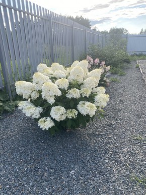 ул. Весенняя,12 в Кушве - kushva.yutvil.ru - фото 20