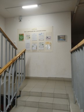 ул. Высокая,7 в Кушве - kushva.yutvil.ru - фото 9